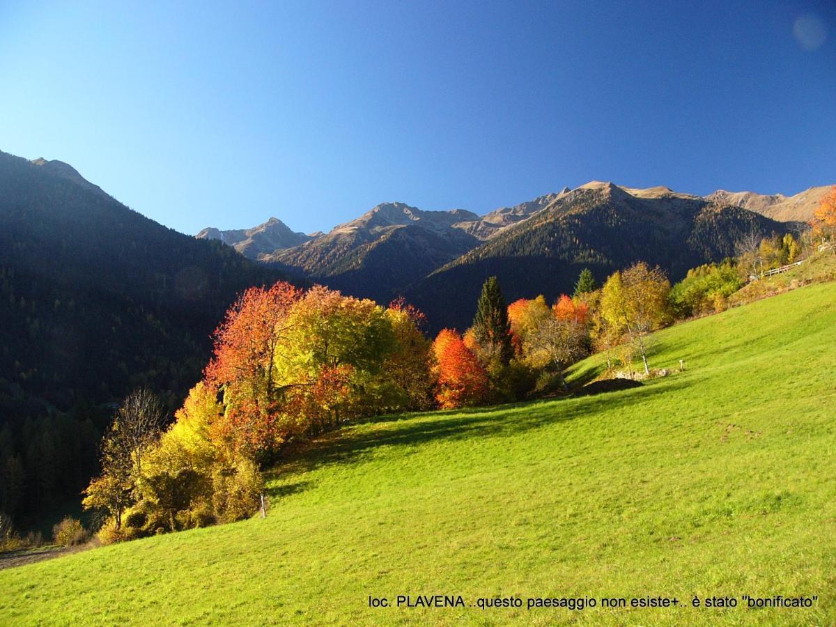 Alpen Garten Hotel Margherita Rumo Екстер'єр фото