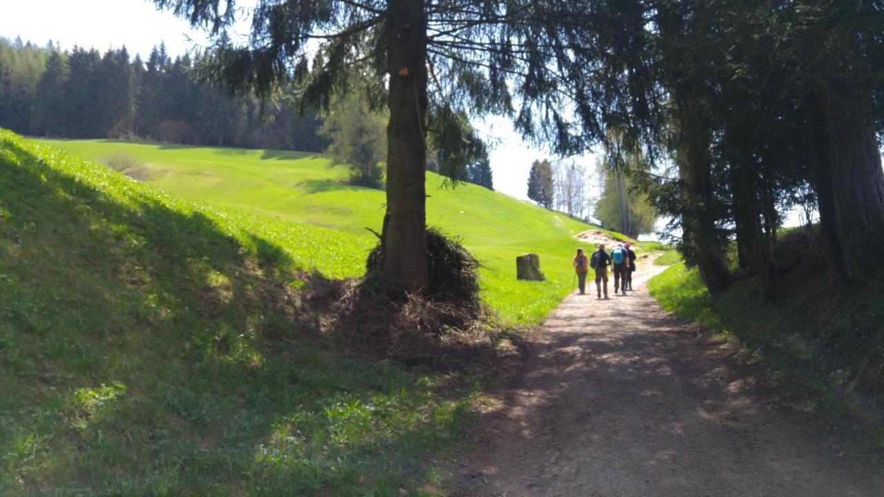 Alpen Garten Hotel Margherita Rumo Екстер'єр фото